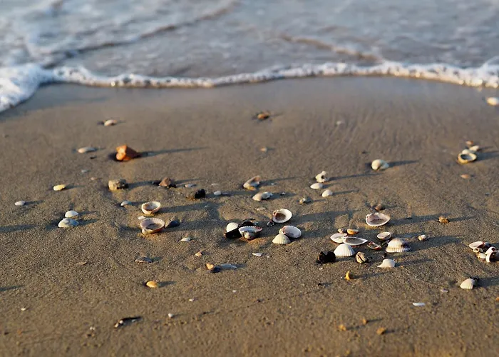 Swim And Stay-beahost Διαμέρισμα